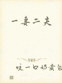 一妻二夫