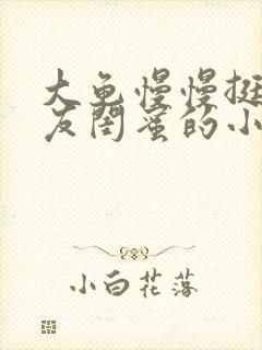 大龟慢慢挺进女友闺蜜的小说