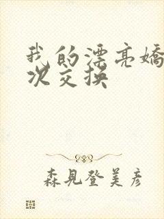 我的漂亮娇妻初次交换