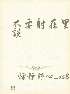 不要射在里面小说