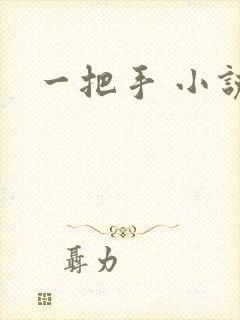 一把手 小说