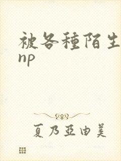 被各种陌生人 np