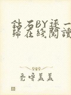 钻石BY逐一而归在线阅读