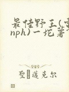 最佳野王(电竞nph)一坨薯饼