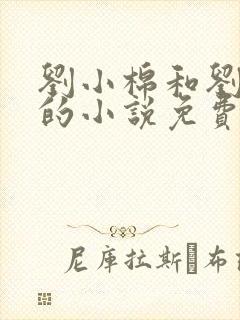 刘小棉和刘易文的小说免费阅读