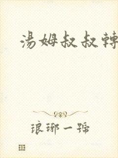 汤姆叔叔转接口