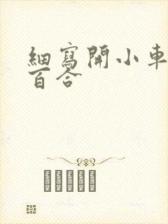 细写开小车车的百合