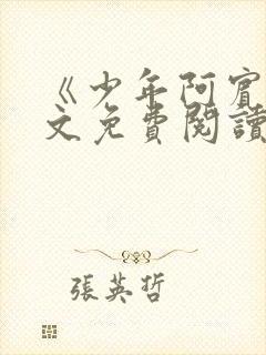 《少年阿宾》全文免费阅读