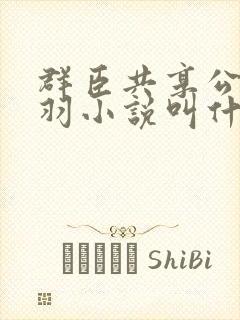 群臣共享公主银羽小说叫什么