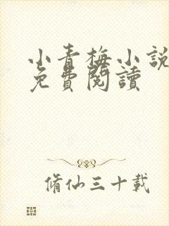 小青梅小说全文免费阅读