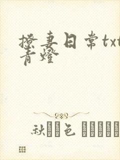 撩妻日常txt青灯