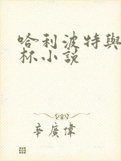 哈利波特与火焰杯小说