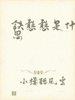 铁憨憨是什么意思