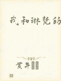 我和琳梵的故事