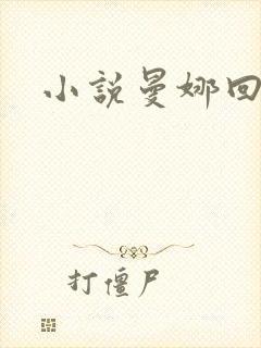 小说曼娜回忆录