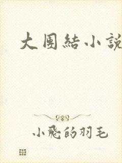 大团结小说下载