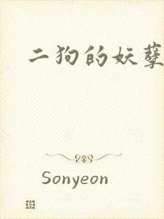 二狗的妖孽人生