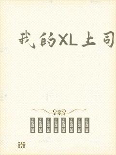 我的XL上司
