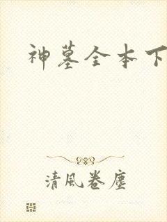 神墓全本下载