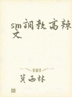 sm调教高辣h文