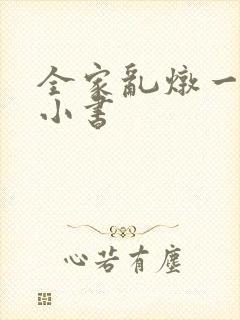 全家乱炖一锅烩小书