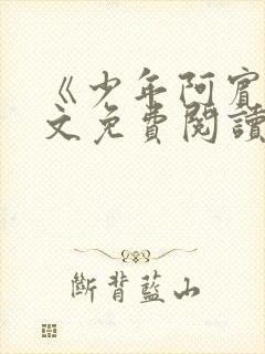 《少年阿宾》全文免费阅读