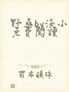 野桑by浅小说免费阅读