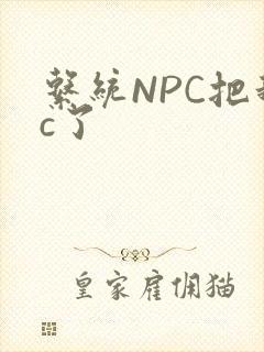 系统NPC把我c了