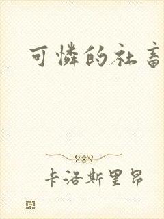 可怜的社畜分手