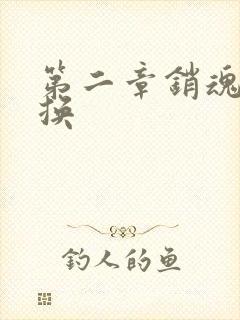 第二章销魂的交换