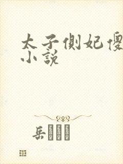 太子侧妃傻乎乎小说