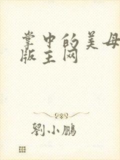 掌中的美母第一版主网