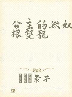 公主的欲奴h四根双龙