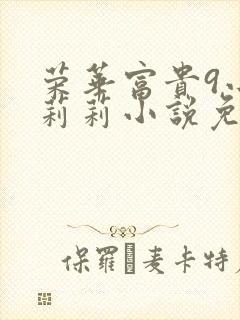 荣华富贵9小王莉莉小说免费阅读