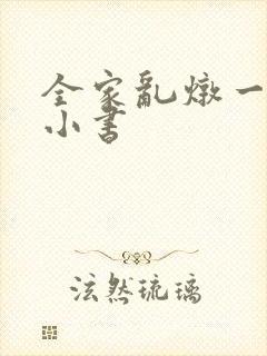 全家乱炖一锅烩小书