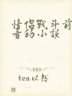 情侣战斗前适合看的小说