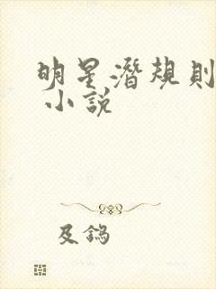 明星潜规则之皇 小说