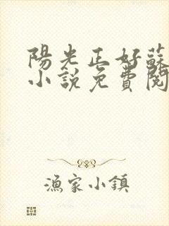 阳光正好苏玥玥小说免费阅读无弹窗