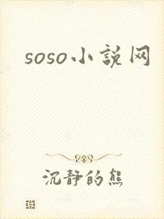 soso小说网