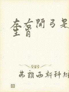 左右开弓是什么生肖