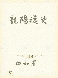 龙阳逸史