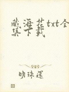 藏海花txt全集下载