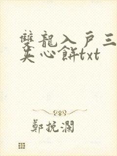 双龙入户三人行夹心饼txt