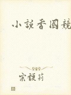 小说香国竞艳