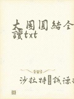 大团圆结全文阅读txt