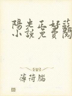 阳光正好苏玥玥小说免费阅读无弹窗