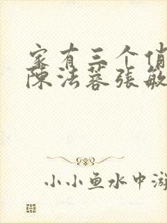 家有三个俏媳妇陈法蓉张敏