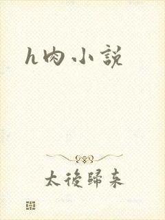 h肉小说