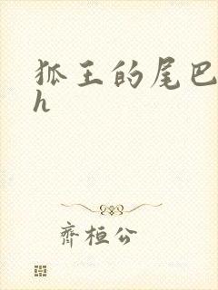 狐王的尾巴高ah