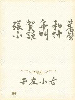 张贺年和叶繁姿小说叫什么名字